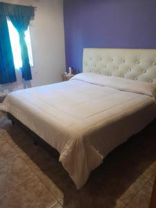 El refugio de los sueños