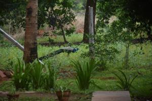 Purity Stay by Crib Community