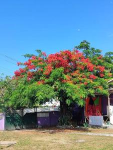 Pousada Sol de Berlinque