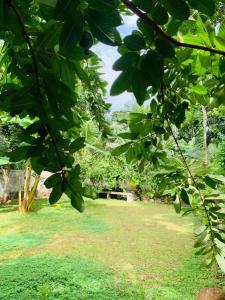 Sri Holiday House - Hikkaduwa