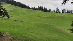 Sun Shine Guest House Baderkote Gulmarg