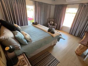 Big Cats Namibia Farmstay & Tours