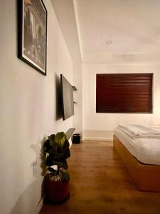 LYLAC Home Saigon NTMK - City Center Spacious Modern Townhouse Roof Terrace