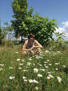Ferienwohnung Lippert