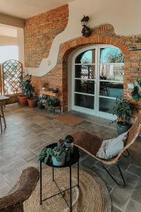 The Olive Grove in Tuscany