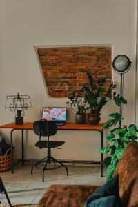 The Olive Grove in Tuscany