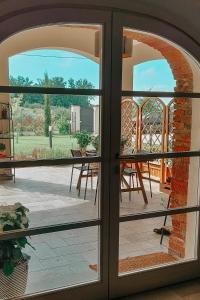 The Olive Grove in Tuscany