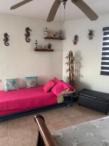 Departamento San Carlos Sonora