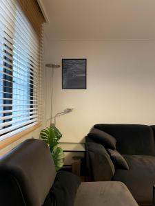 블랙앤우드 하우스, 합정역 도보 5분, 홍대 1정거장, 망원한강공원 Modern Cozy Seoul Loft, Hapjeong station 5 mins walk, Hongdae just 1 stop