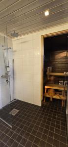 Arctic Villa Iisakki