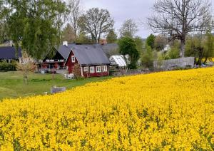 Brösarp Källagården Vedboden