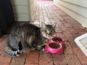 Work, Rest and Recharger Here