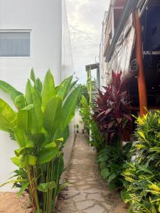 The Blue Doors- Siargao