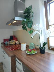 Savor Appartement Bergblick für 6 Personen