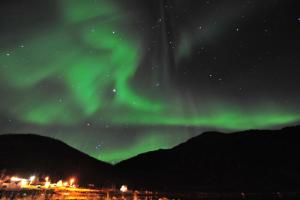 Fishermens House, 3 bedrooms apartment near the sea Medby Senja