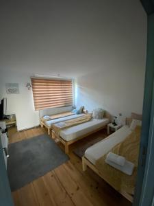 Spacious villa with garden - ideal for groups