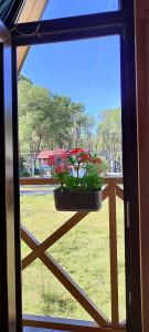 Cottage Liliana კოტეჯი ლილიანა