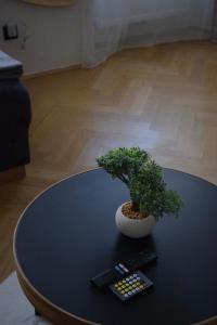 Black & White Apartment