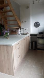 Beau duplex lumineux à la montagne Nice flat just underneath MtBlanc