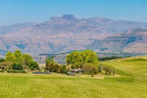 Wellstead Cathkin Park