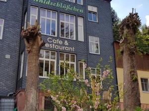 Pension Waldschlösschen