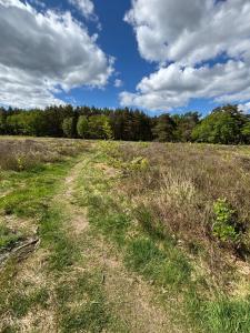 Chalet with nice garden