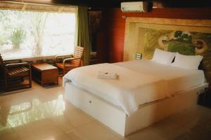 Misty Night Wayanad Pool Resort