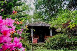 Misty Night Wayanad Pool Resort