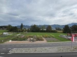 Apartment Spiez - Lake view
