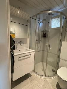 Apartment Thun - Lake view