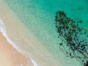 Baia Delle Zagare - Handwritten Collection