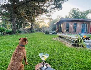 6BR Designer Home OR SEPARATE 2BR Guesthouse OPTION