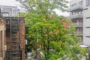 Blueground Nolita private entrance nr Bowery NYC-2054