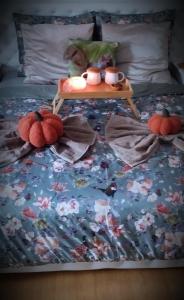 Agroturystyka u Lusi