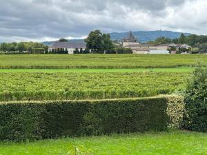 Domaine de la Noiseraie - Suites spacieuses