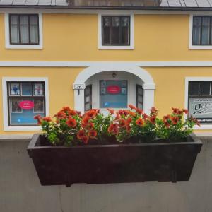 Saunallinen yksiö keskustassa