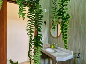 Studio Mirante da Cascata - Vista e calmaria em Lumiar