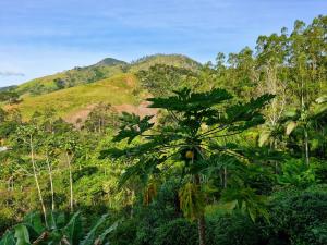 Studio Mirante da Cascata - Vista e calmaria em Lumiar