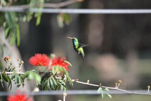 Cabañas Los Horneros