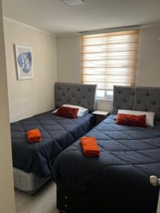 Departamento- al costado Del hospital regional- cercano a safari - panamericana 5 - parking privado - wifi - 2 hab -2 Baños