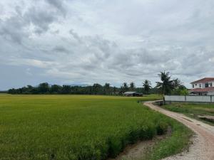 Homestay Teluk Bayu