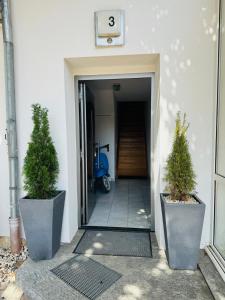 Modernes Loft am Rebberg im historischen Winzerhof