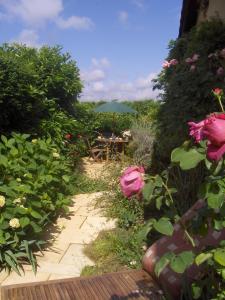 Hourcazet photo 15