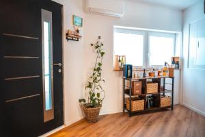 Ferienunterkunft Villa AXOI