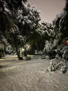 Cabaña del Cruce2 BRC pet friendy con vista a la montaña