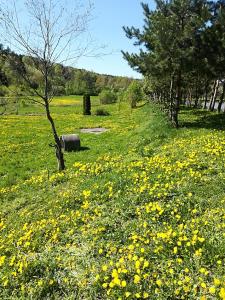 Zacisze Nad Stawami