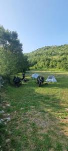 Livari CAMPING