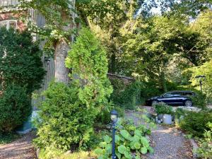 Ferienunterkünfte Wassermühle