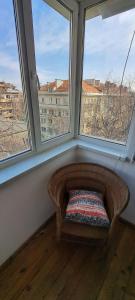 Bright apartment in Doktorska gradina