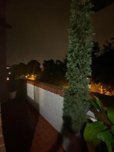 CANEY Traveller House